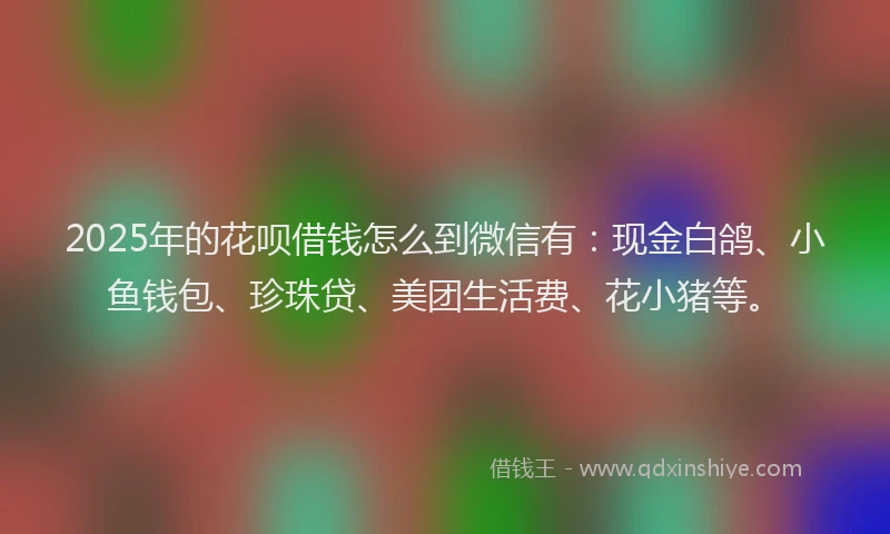 2025年的花呗借钱怎么到微信有：现金白鸽、小鱼钱包、珍珠贷、美团生活费、花小猪等。