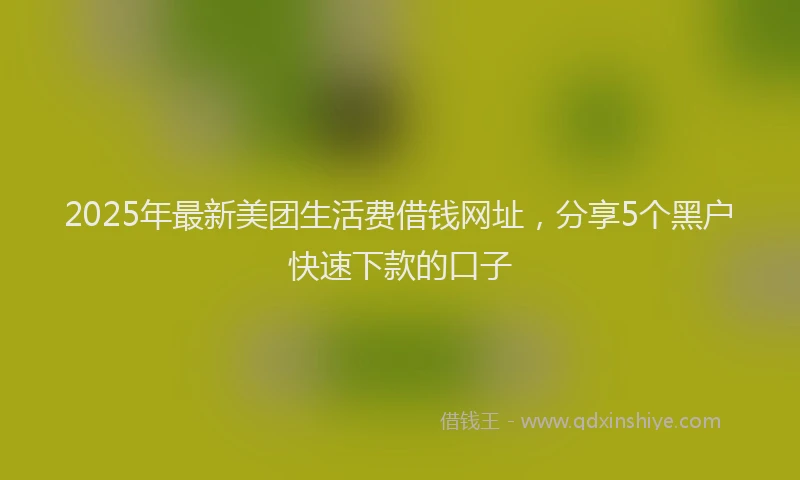 2025年最新美团生活费借钱网址，分享5个黑户快速下款的口子