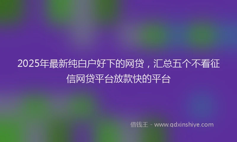 2025年最新纯白户好下的网贷，汇总五个不看征信网贷平台放款快的平台