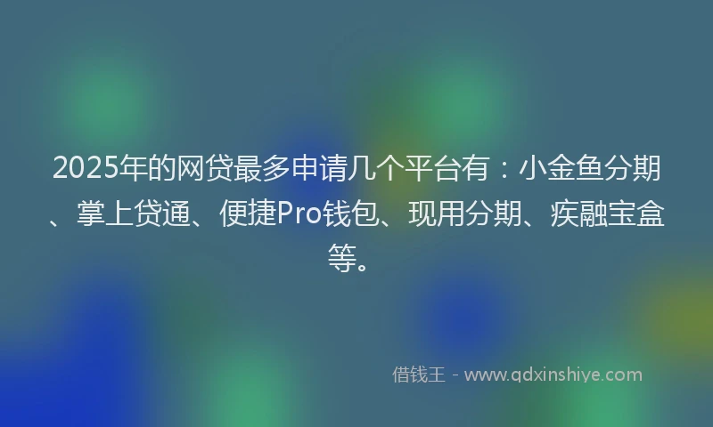2025年的网贷最多申请几个平台有：小金鱼分期、掌上贷通、便捷Pro钱包、现用分期、疾融宝盒等。
