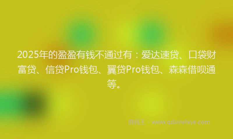 2025年的盈盈有钱不通过有：爱达速贷、口袋财富贷、信贷Pro钱包、翼贷Pro钱包、森森借呗通等。