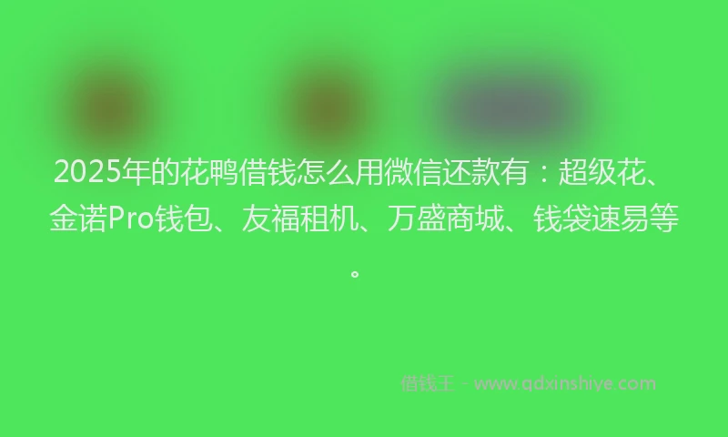 2025年的花鸭借钱怎么用微信还款有：超级花、金诺Pro钱包、友福租机、万盛商城、钱袋速易等。