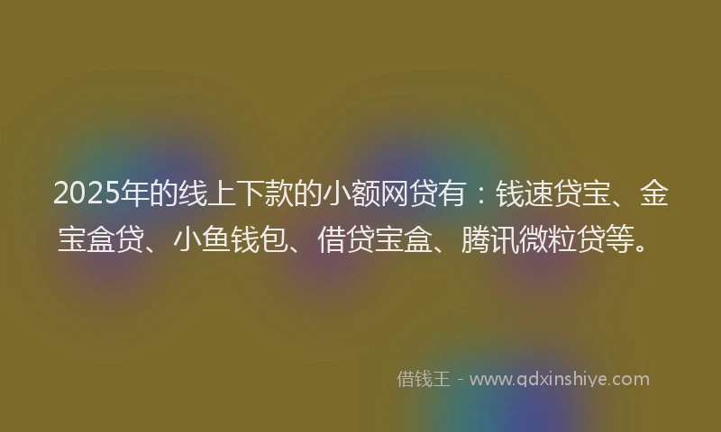 2025年的线上下款的小额网贷有：钱速贷宝、金宝盒贷、小鱼钱包、借贷宝盒、腾讯微粒贷等。