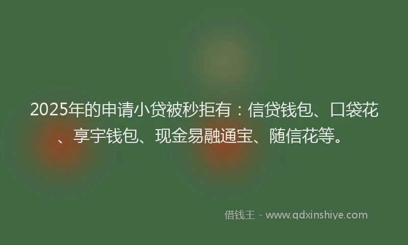 2025年的申请小贷被秒拒有：信贷钱包、口袋花、享宇钱包、现金易融通宝、随信花等。
