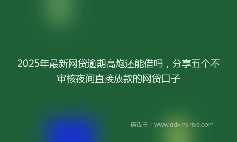 2025年最新网贷逾期高炮还能借吗，分享五个不审核夜间直接放款的网贷口子