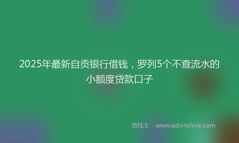 2025年最新自贡银行借钱，罗列5个不查流水的小额度贷款口子