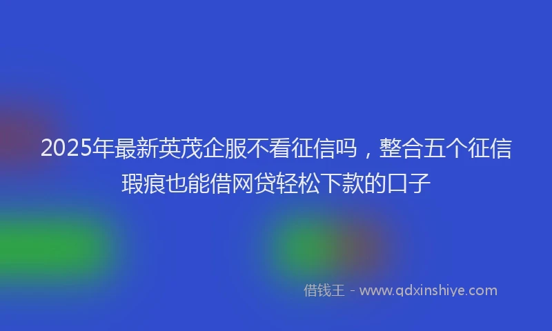 2025年最新英茂企服不看征信吗，整合五个征信瑕疵也能借网贷轻松下款的口子