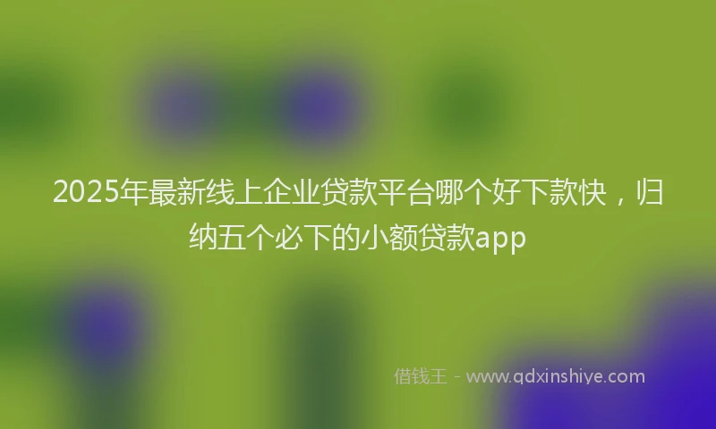 2025年最新线上企业贷款平台哪个好下款快，归纳五个必下的小额贷款app
