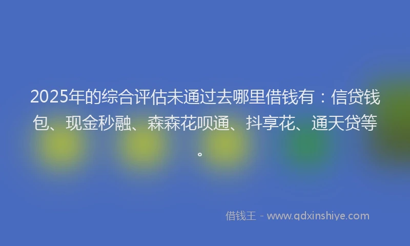 2025年的综合评估未通过去哪里借钱有：信贷钱包、现金秒融、森森花呗通、抖享花、通天贷等。