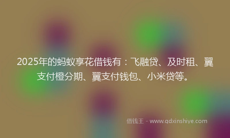 2025年的蚂蚁享花借钱有：飞融贷、及时租、翼支付橙分期、翼支付钱包、小米贷等。