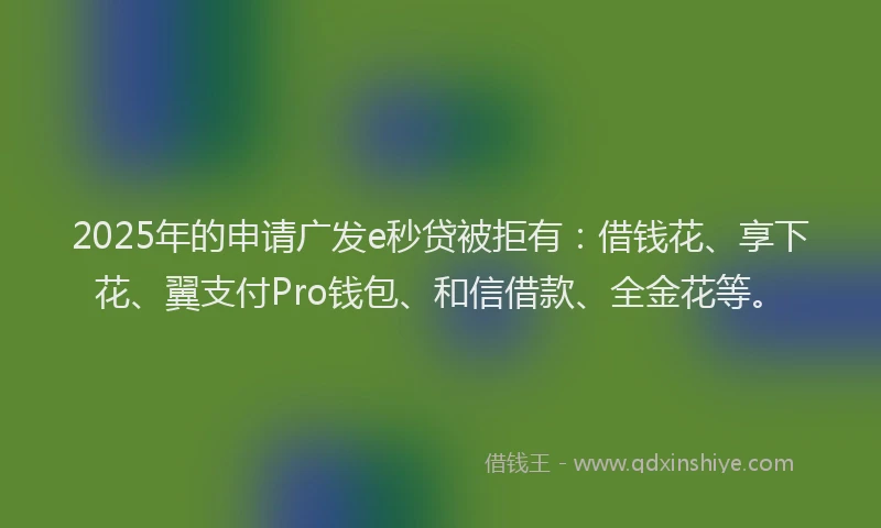 2025年的申请广发e秒贷被拒有：借钱花、享下花、翼支付Pro钱包、和信借款、全金花等。