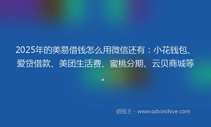 2025年的美易借钱怎么用微信还有：小花钱包、爱贷借款、美团生活费、蜜桃分期、云贝商城等。