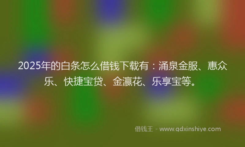 2025年的白条怎么借钱下载有：涌泉金服、惠众乐、快捷宝贷、金瀛花、乐享宝等。