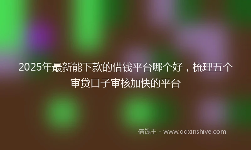 2025年最新能下款的借钱平台哪个好，梳理五个审贷口子审核加快的平台