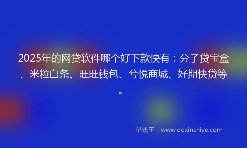 2025年的网贷软件哪个好下款快有：分子贷宝盒、米粒白条、旺旺钱包、兮悦商城、好期快贷等。