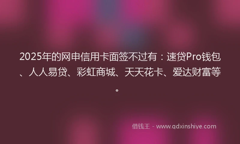 2025年的网申信用卡面签不过有：速贷Pro钱包、人人易贷、彩虹商城、天天花卡、爱达财富等。