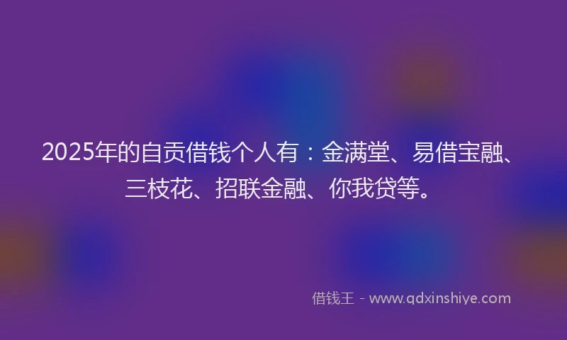 2025年的自贡借钱个人有：金满堂、易借宝融、三枝花、招联金融、你我贷等。