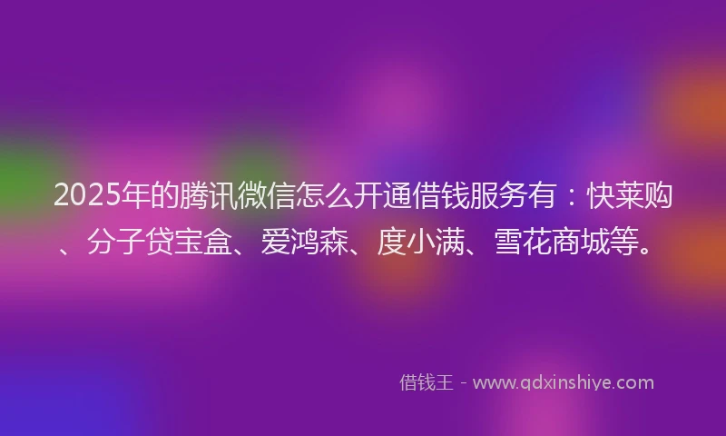 2025年的腾讯微信怎么开通借钱服务有：快莱购、分子贷宝盒、爱鸿森、度小满、雪花商城等。