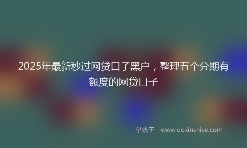 2025年最新秒过网贷口子黑户，整理五个分期有额度的网贷口子