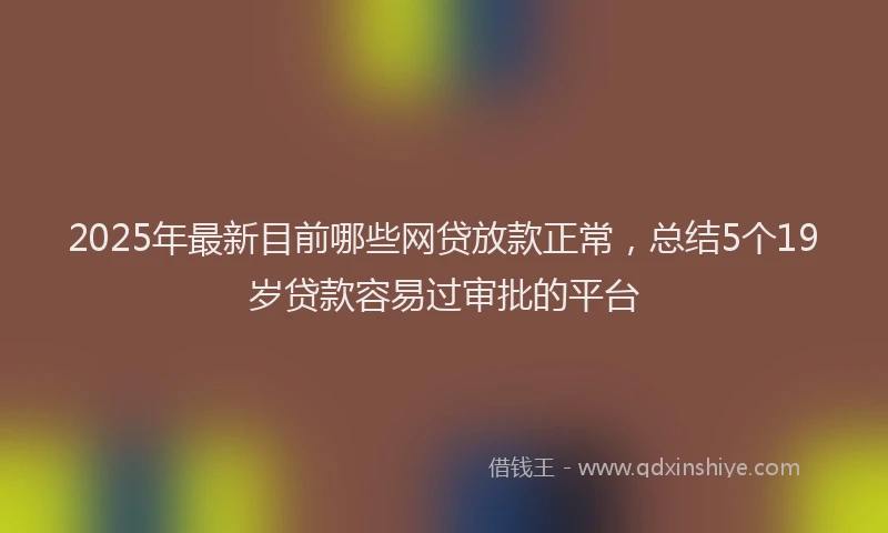 2025年最新目前哪些网贷放款正常，总结5个19岁贷款容易过审批的平台