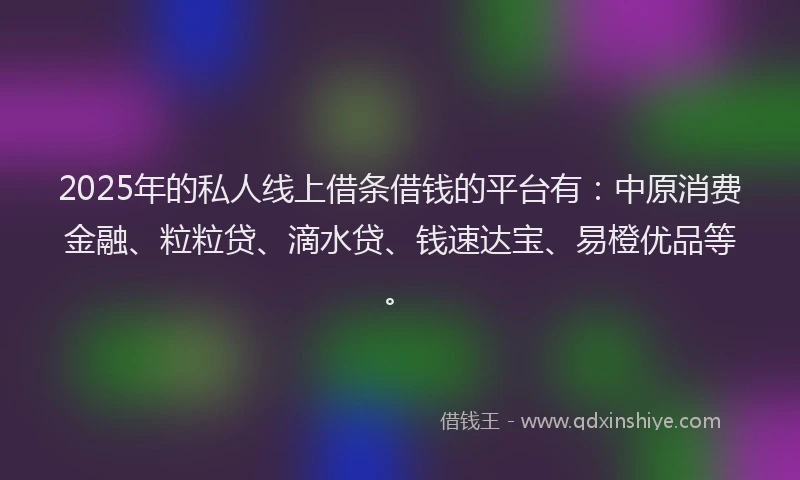 2025年的私人线上借条借钱的平台有：中原消费金融、粒粒贷、滴水贷、钱速达宝、易橙优品等。