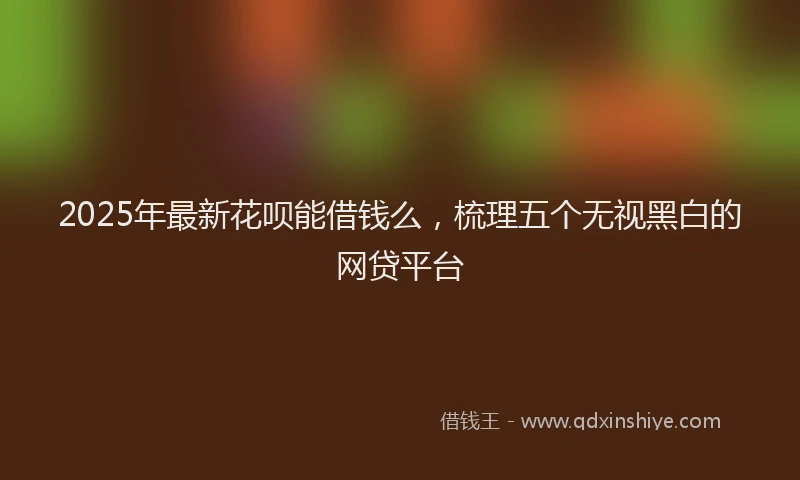 2025年最新花呗能借钱么，梳理五个无视黑白的网贷平台