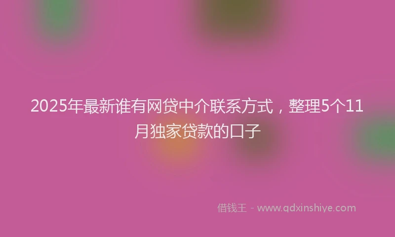 2025年最新谁有网贷中介联系方式，整理5个11月独家贷款的口子