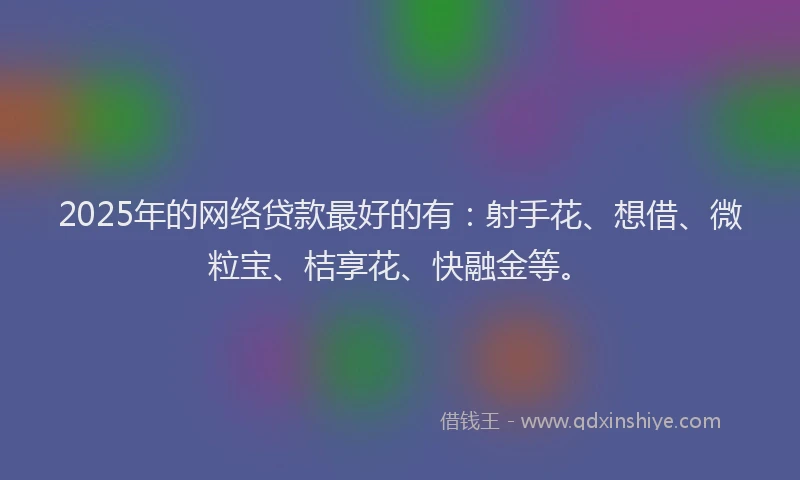 2025年的网络贷款最好的有：射手花、想借、微粒宝、桔享花、快融金等。