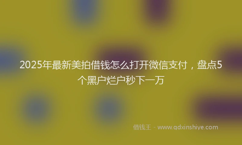 2025年最新美拍借钱怎么打开微信支付，盘点5个黑户烂户秒下一万