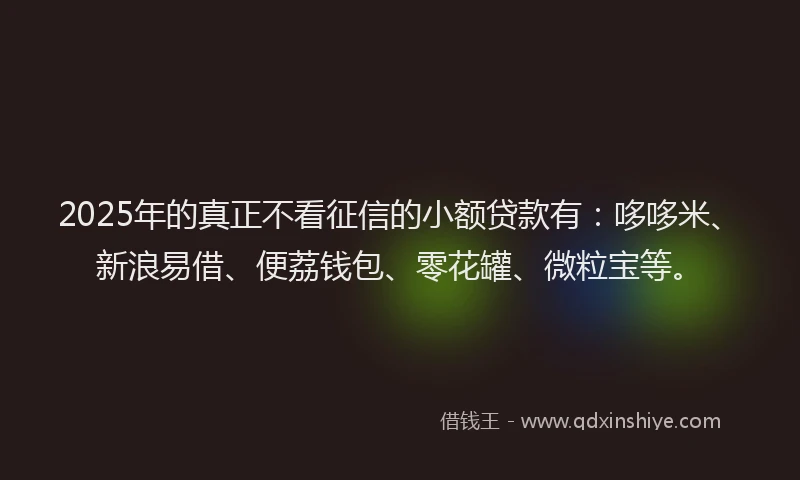 2025年的真正不看征信的小额贷款有：哆哆米、新浪易借、便荔钱包、零花罐、微粒宝等。