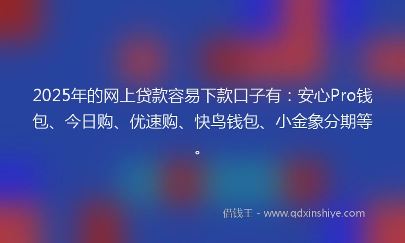 2025年的网上贷款容易下款口子有：安心Pro钱包、今日购、优速购、快鸟钱包、小金象分期等。