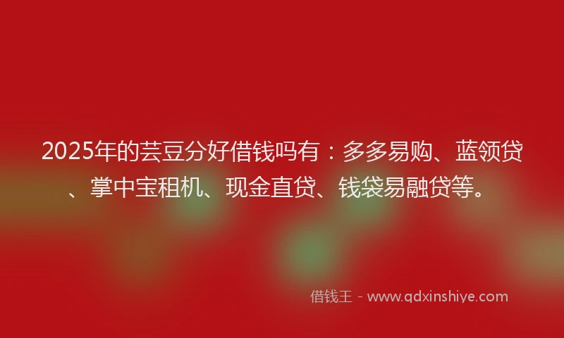 2025年的芸豆分好借钱吗有：多多易购、蓝领贷、掌中宝租机、现金直贷、钱袋易融贷等。