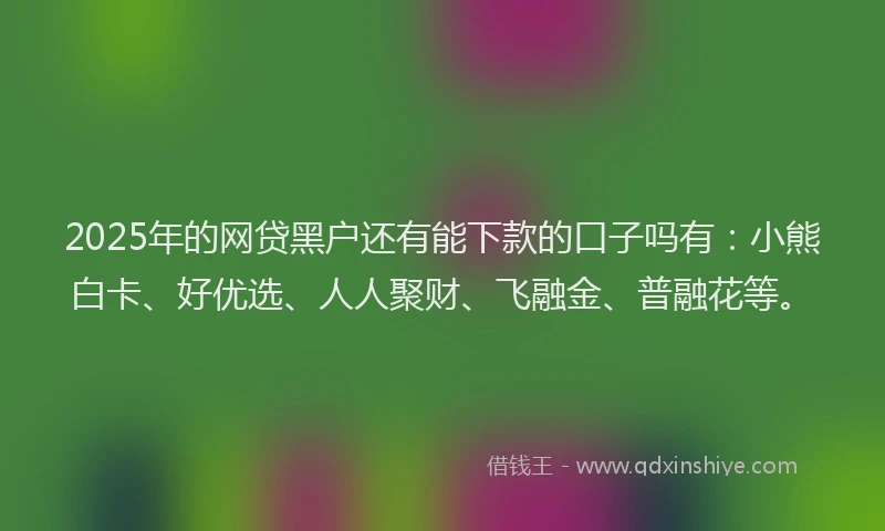 2025年的网贷黑户还有能下款的口子吗有：小熊白卡、好优选、人人聚财、飞融金、普融花等。