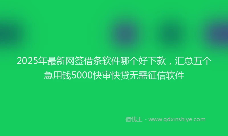 2025年最新网签借条软件哪个好下款，汇总五个急用钱5000快审快贷无需征信软件