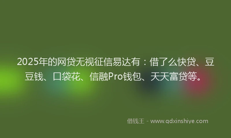 2025年的网贷无视征信易达有：借了么快贷、豆豆钱、口袋花、信融Pro钱包、天天富贷等。