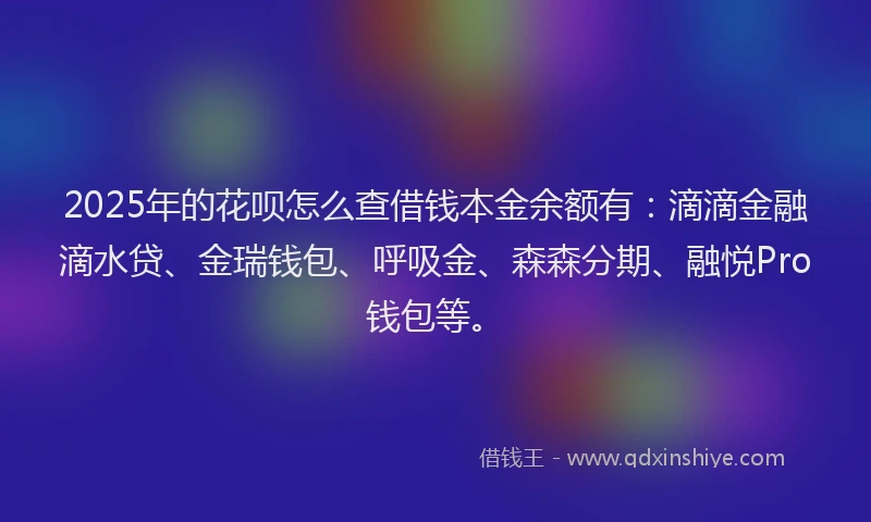2025年的花呗怎么查借钱本金余额有：滴滴金融滴水贷、金瑞钱包、呼吸金、森森分期、融悦Pro钱包等。