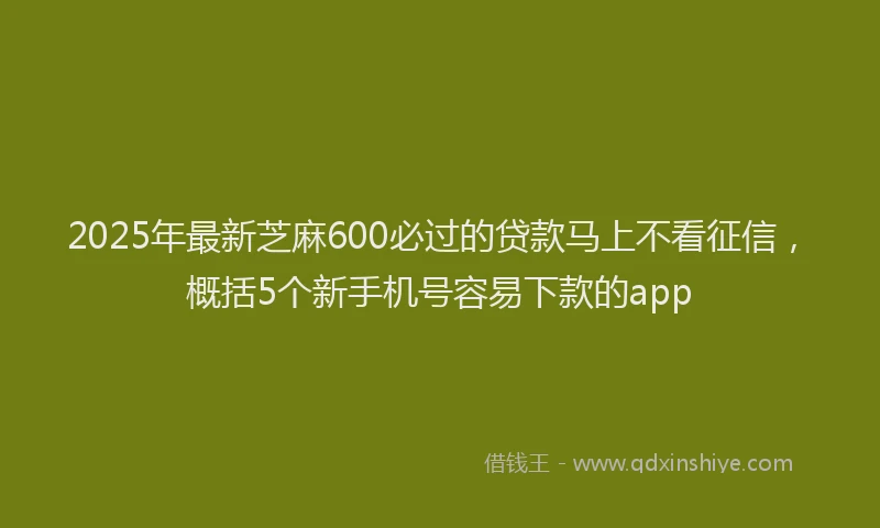 2025年最新芝麻600必过的贷款马上不看征信，概括5个新手机号容易下款的app