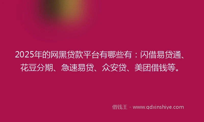 2025年的网黑贷款平台有哪些有：闪借易贷通、花豆分期、急速易贷、众安贷、美团借钱等。