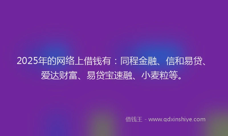 2025年的网络上借钱有：同程金融、信和易贷、爱达财富、易贷宝速融、小麦粒等。