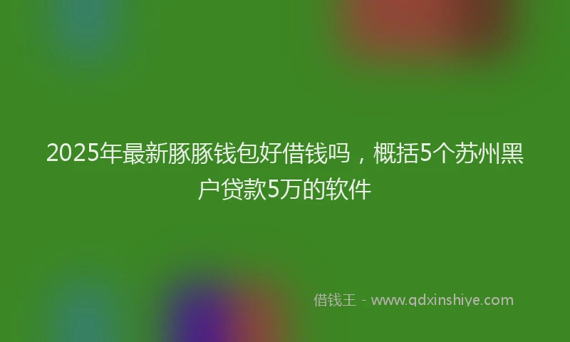 2025年最新豚豚钱包好借钱吗，概括5个苏州黑户贷款5万的软件