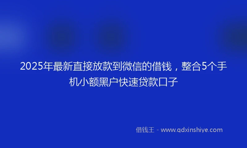 2025年最新直接放款到微信的借钱，整合5个手机小额黑户快速贷款口子