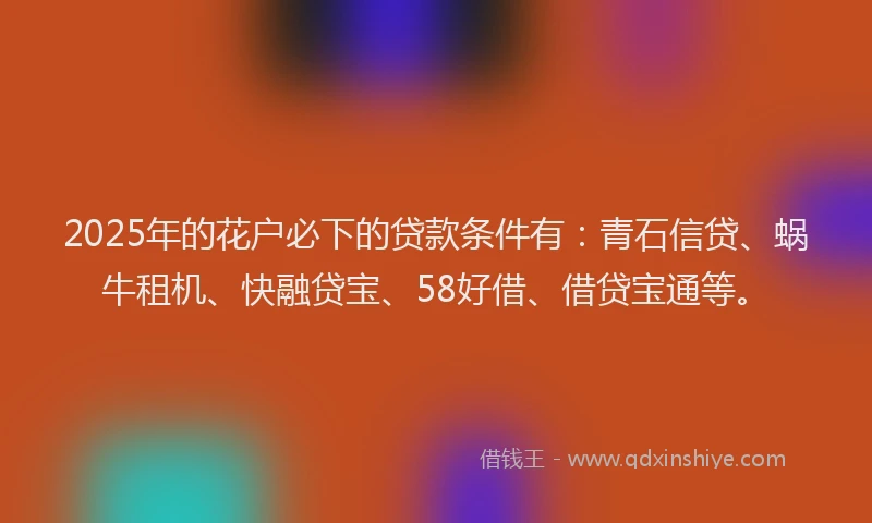 2025年的花户必下的贷款条件有：青石信贷、蜗牛租机、快融贷宝、58好借、借贷宝通等。