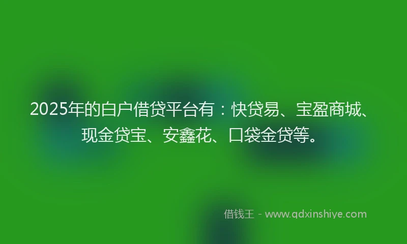2025年的白户借贷平台有：快贷易、宝盈商城、现金贷宝、安鑫花、口袋金贷等。
