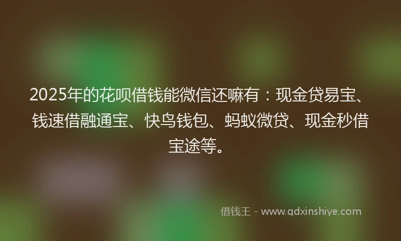 2025年的花呗借钱能微信还嘛有：现金贷易宝、钱速借融通宝、快鸟钱包、蚂蚁微贷、现金秒借宝途等。