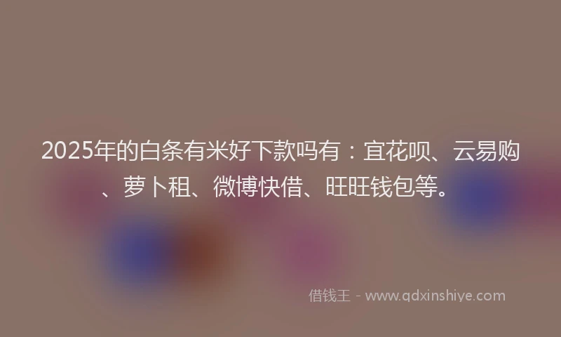 2025年的白条有米好下款吗有：宜花呗、云易购、萝卜租、微博快借、旺旺钱包等。
