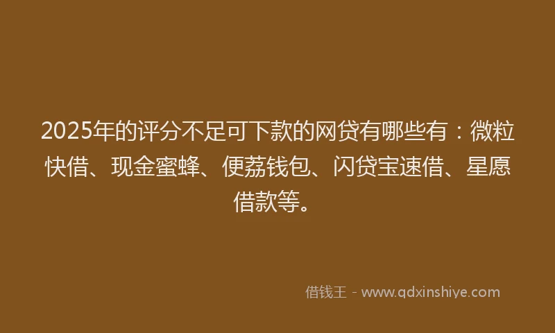 2025年的评分不足可下款的网贷有哪些有：微粒快借、现金蜜蜂、便荔钱包、闪贷宝速借、星愿借款等。