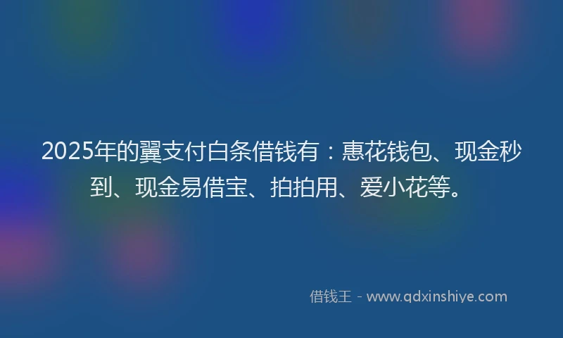 2025年的翼支付白条借钱有：惠花钱包、现金秒到、现金易借宝、拍拍用、爱小花等。