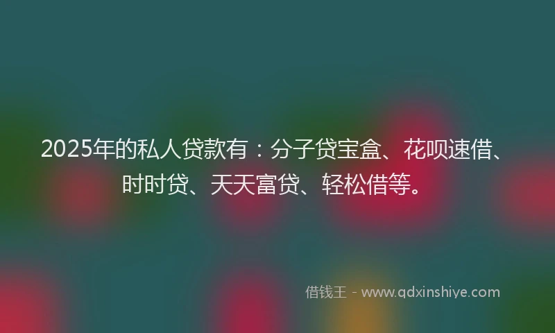 2025年的私人贷款有：分子贷宝盒、花呗速借、时时贷、天天富贷、轻松借等。