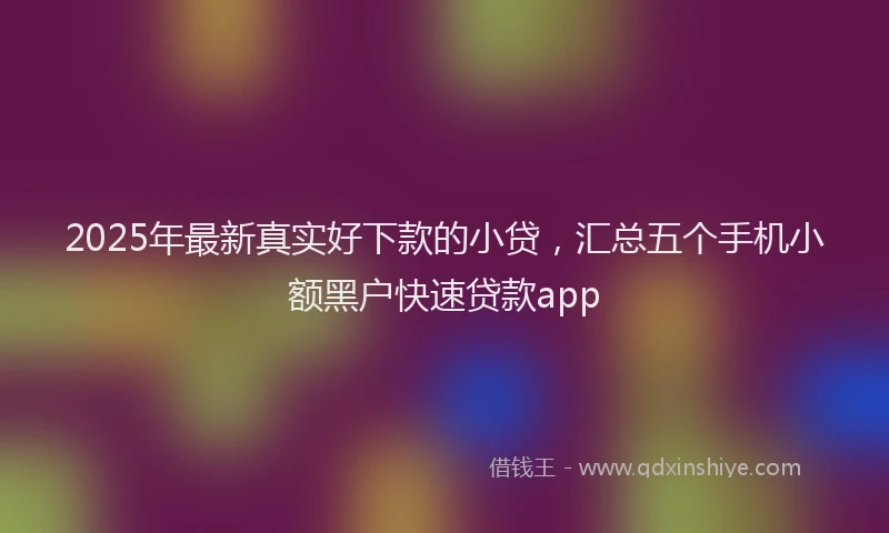 2025年最新真实好下款的小贷，汇总五个手机小额黑户快速贷款app