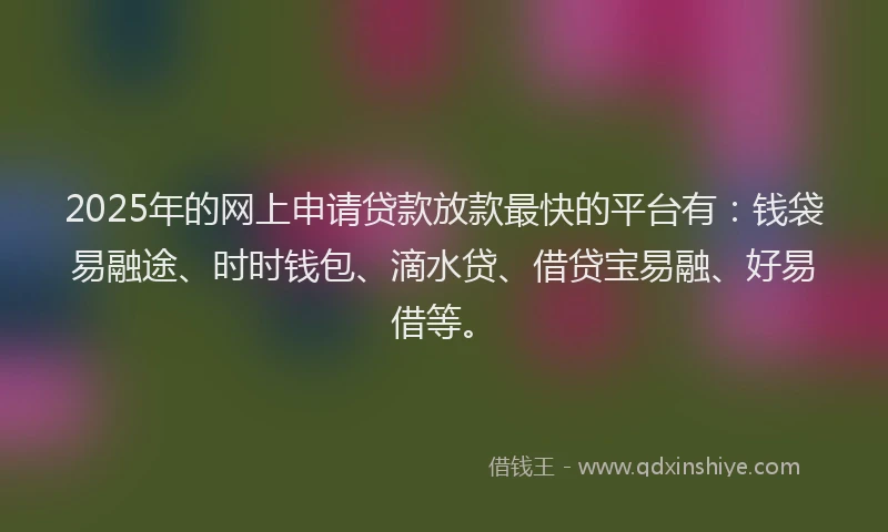 2025年的网上申请贷款放款最快的平台有：钱袋易融途、时时钱包、滴水贷、借贷宝易融、好易借等。